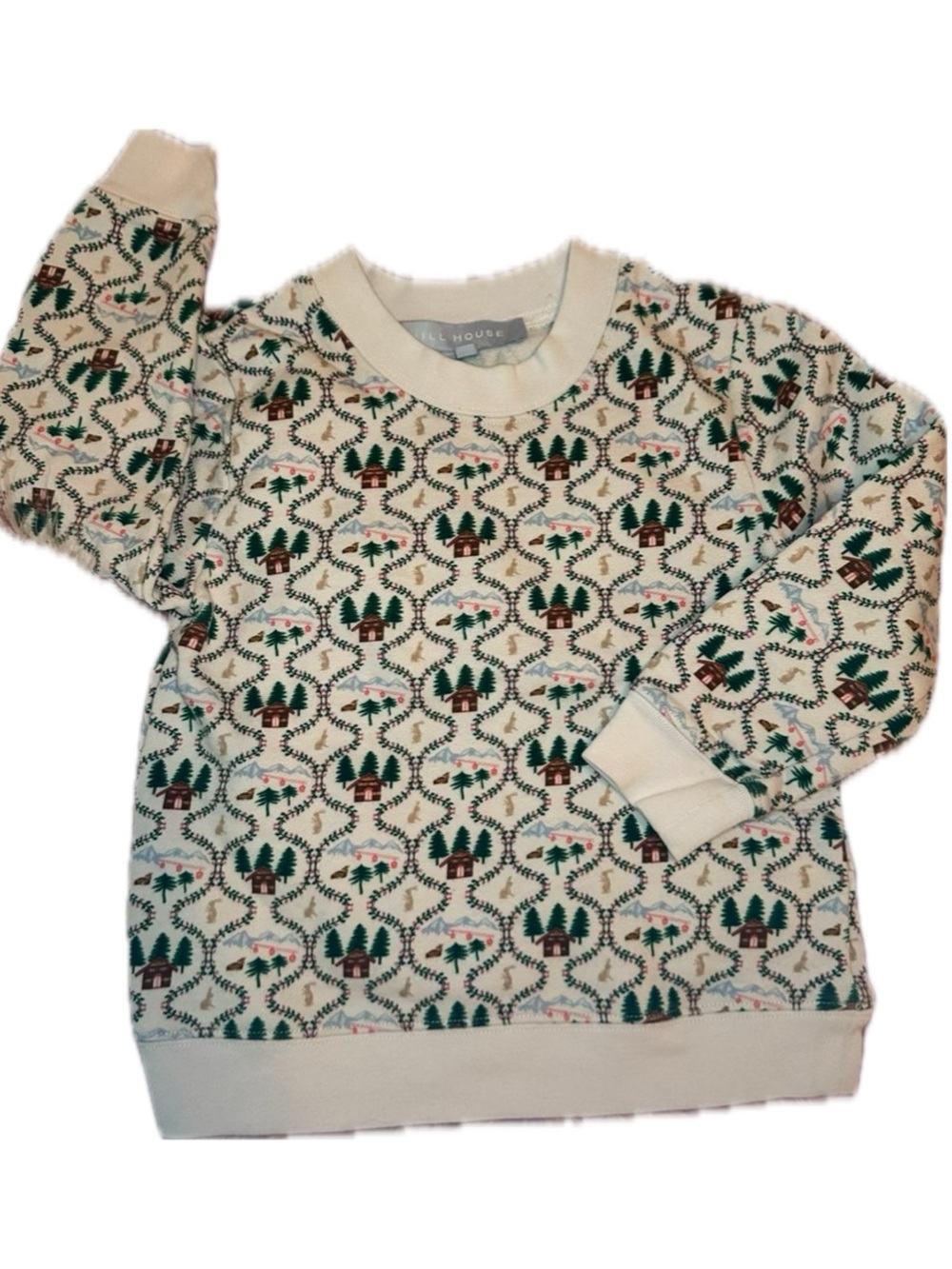 Cozy Cream Cabin Print Sweatshirt